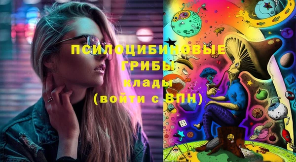 винт Аркадак