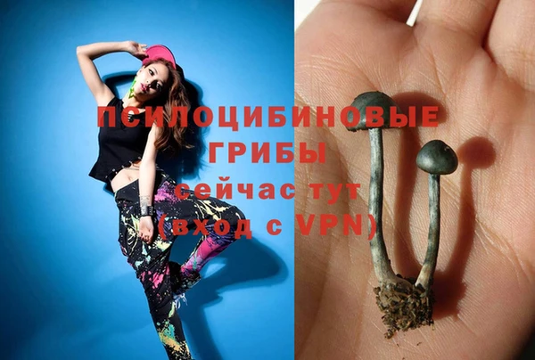 Альфа ПВП Алзамай