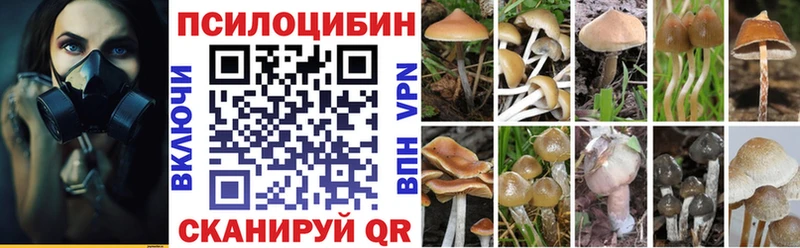 Галлюциногенные грибы MAGIC MUSHROOMS  Сибай 